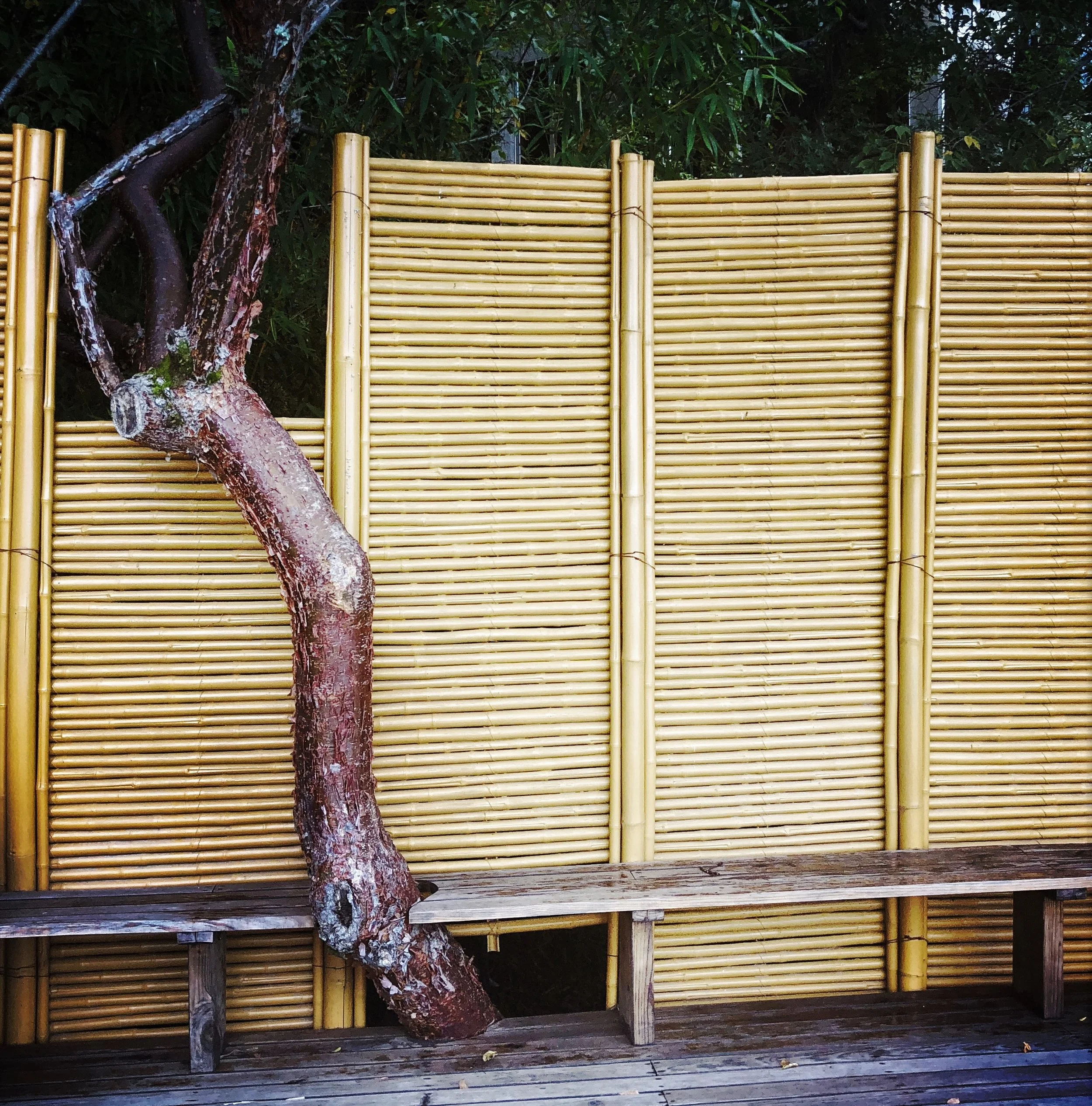 Open Air Places - Villas B'Alam Ya 45.JPG