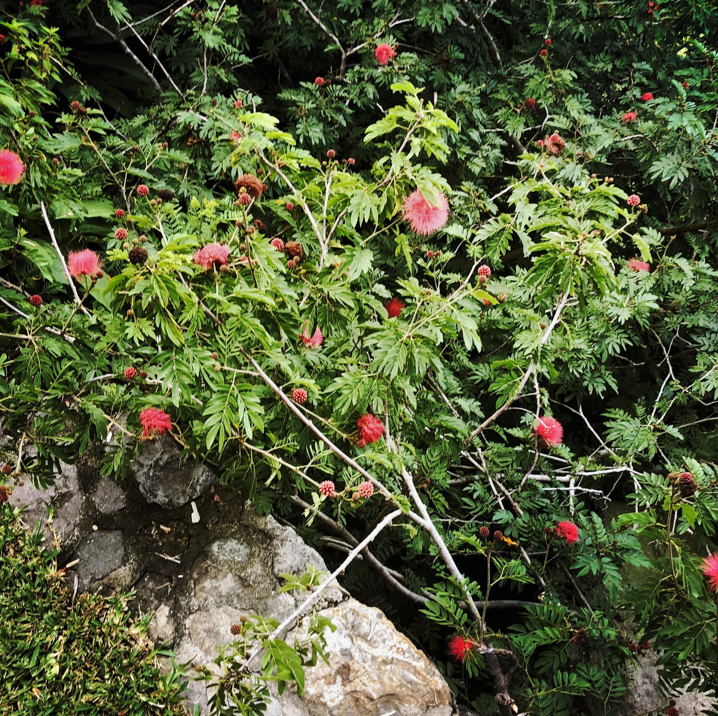 Open Air Places - Villas B'Alam Ya 72.JPG