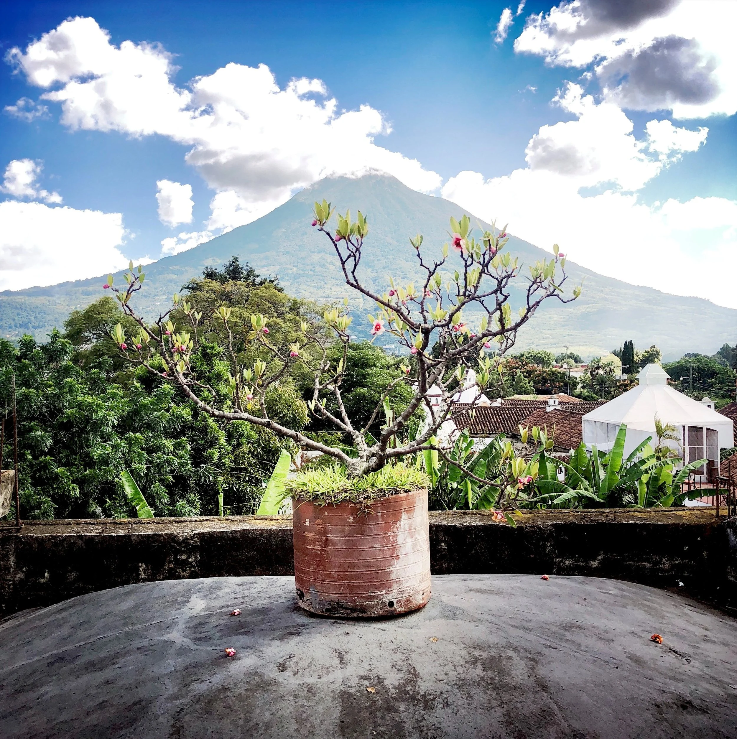 Rooftop Terrace at Meson Panza Verde Hotel