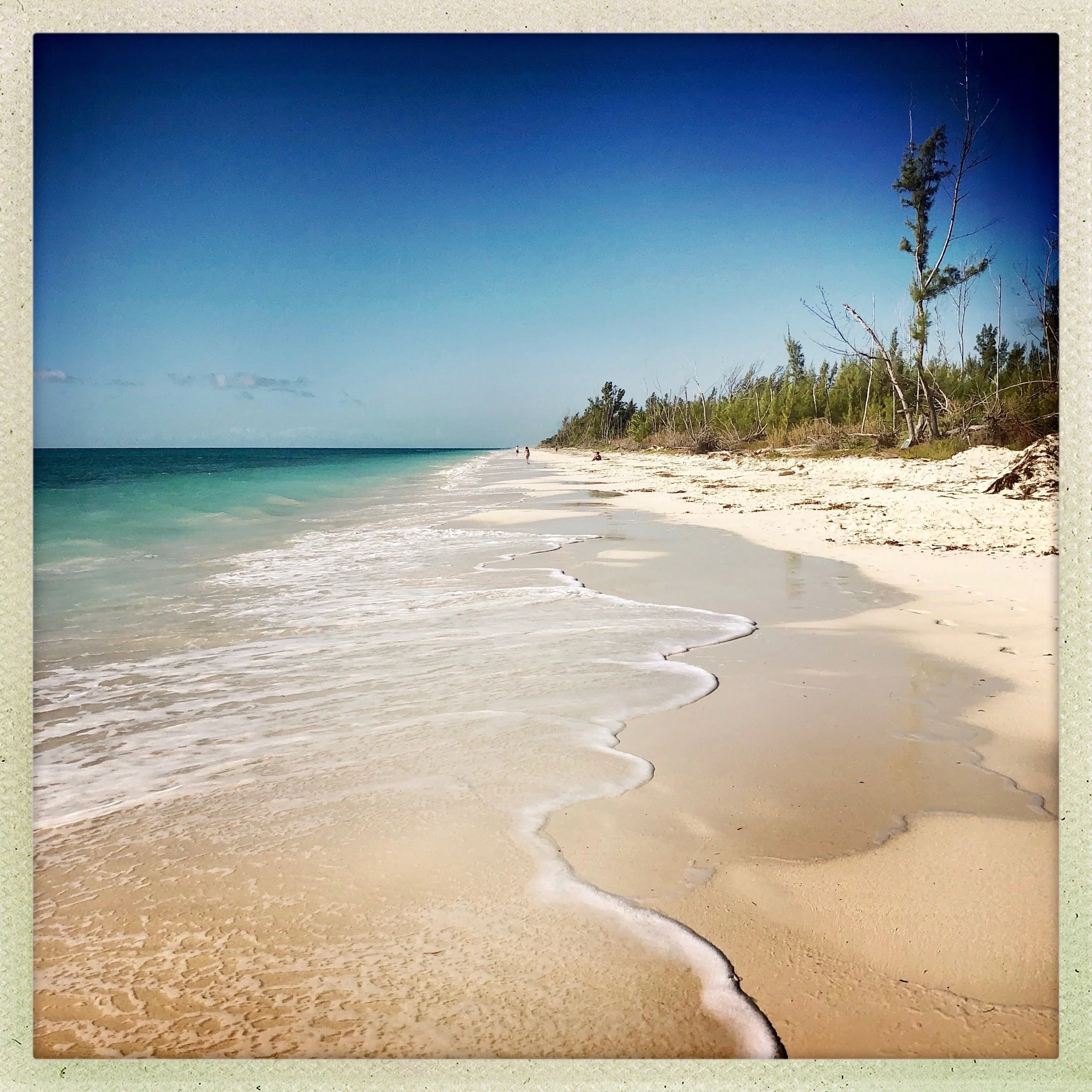 Open Air Places 8 miles of Private Beach.jpg