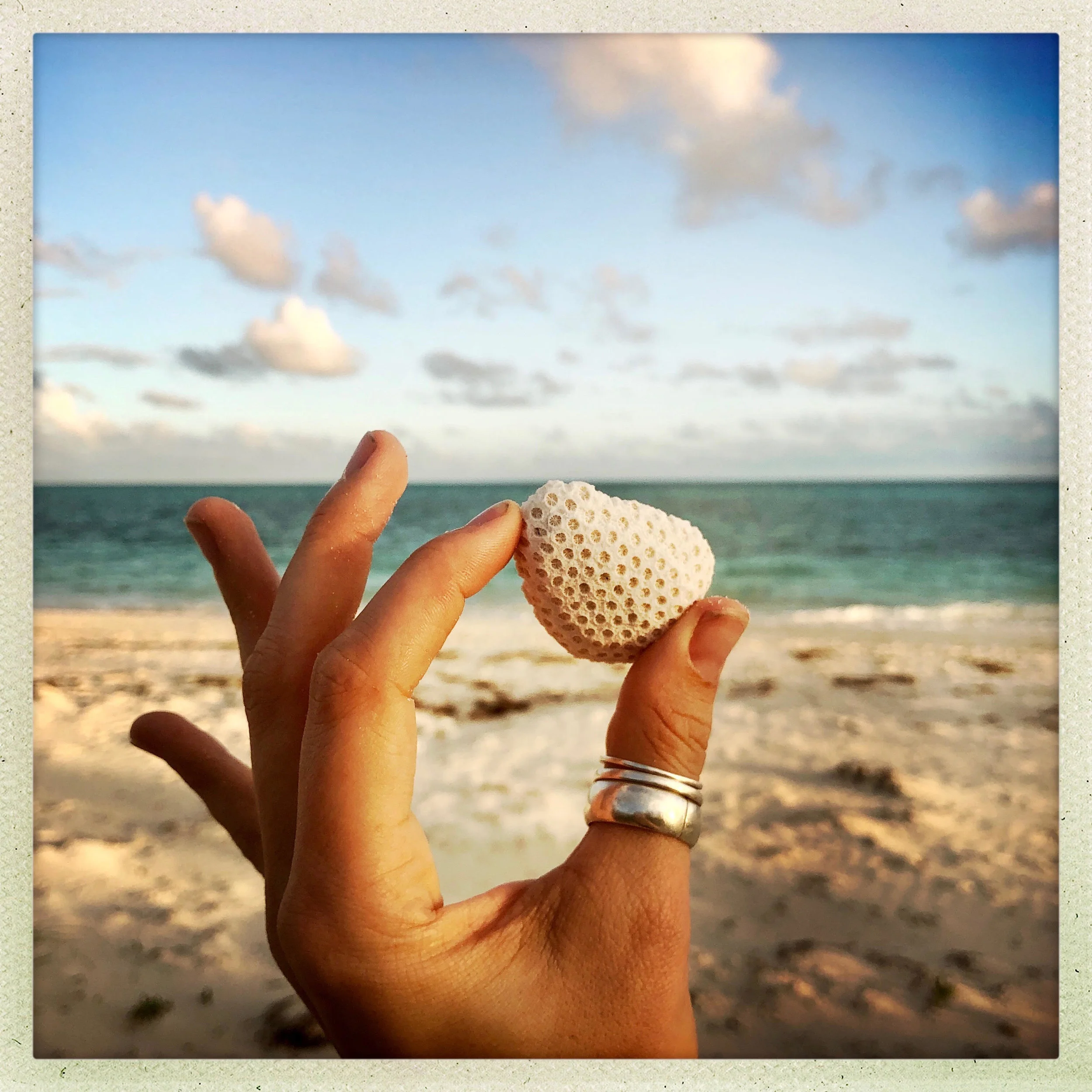 Open Air Places Beach Treasures.jpg