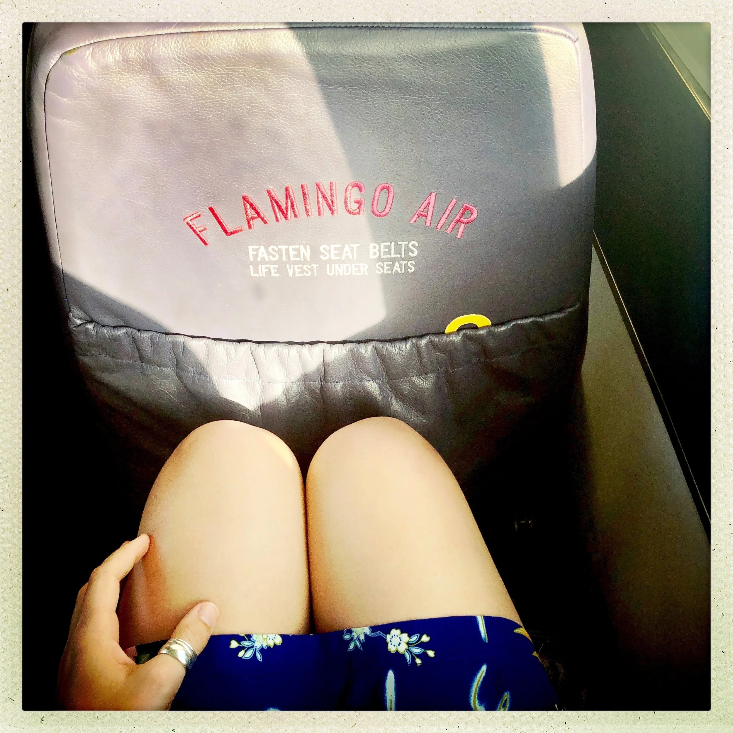 Open Air Places Flamingo Air.jpg