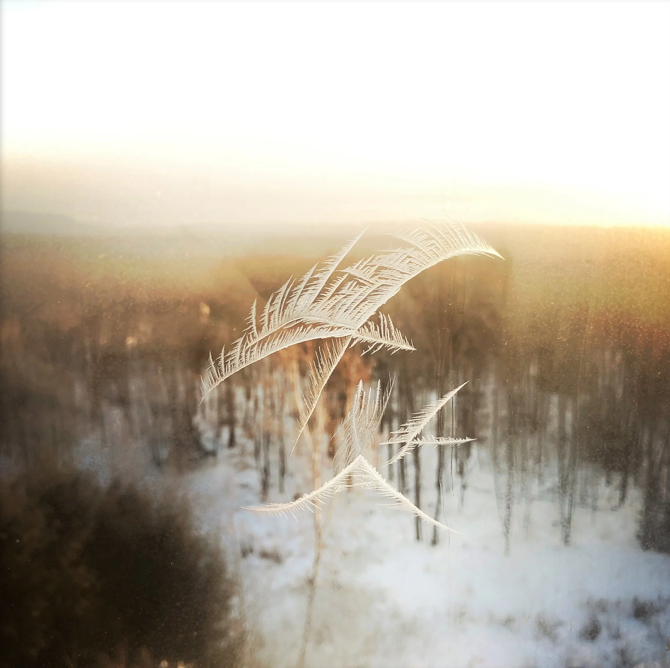 Top 10 Ways to Survive The Polar Vortex: Artist's Edition 