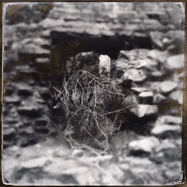 Mend Me As Only You Can Do | nature's sutures at the Monastery Ruins | Antigua, Guatemala | October 2014