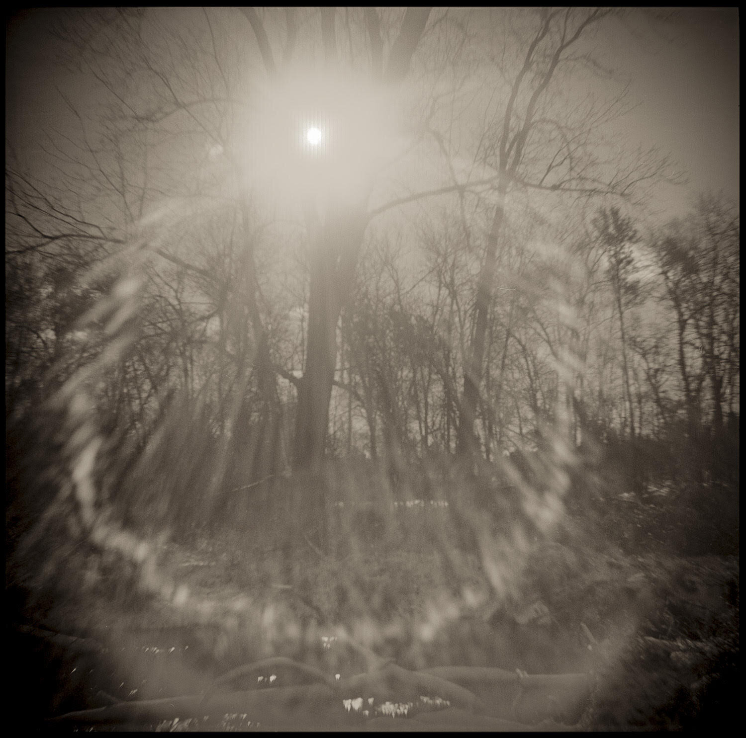 Image by Douglas Beasley