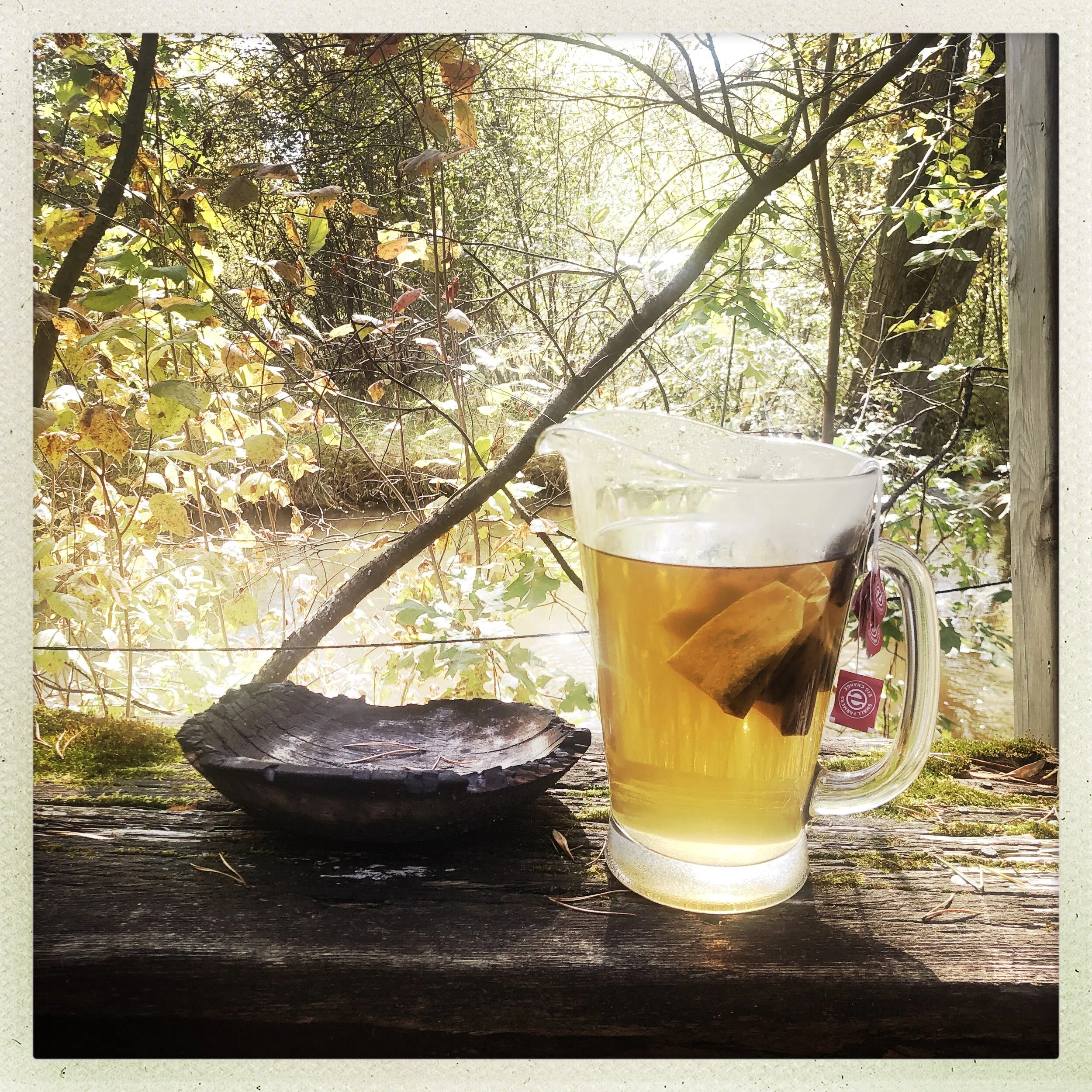 Jenna's Sun Tea at the Cabin