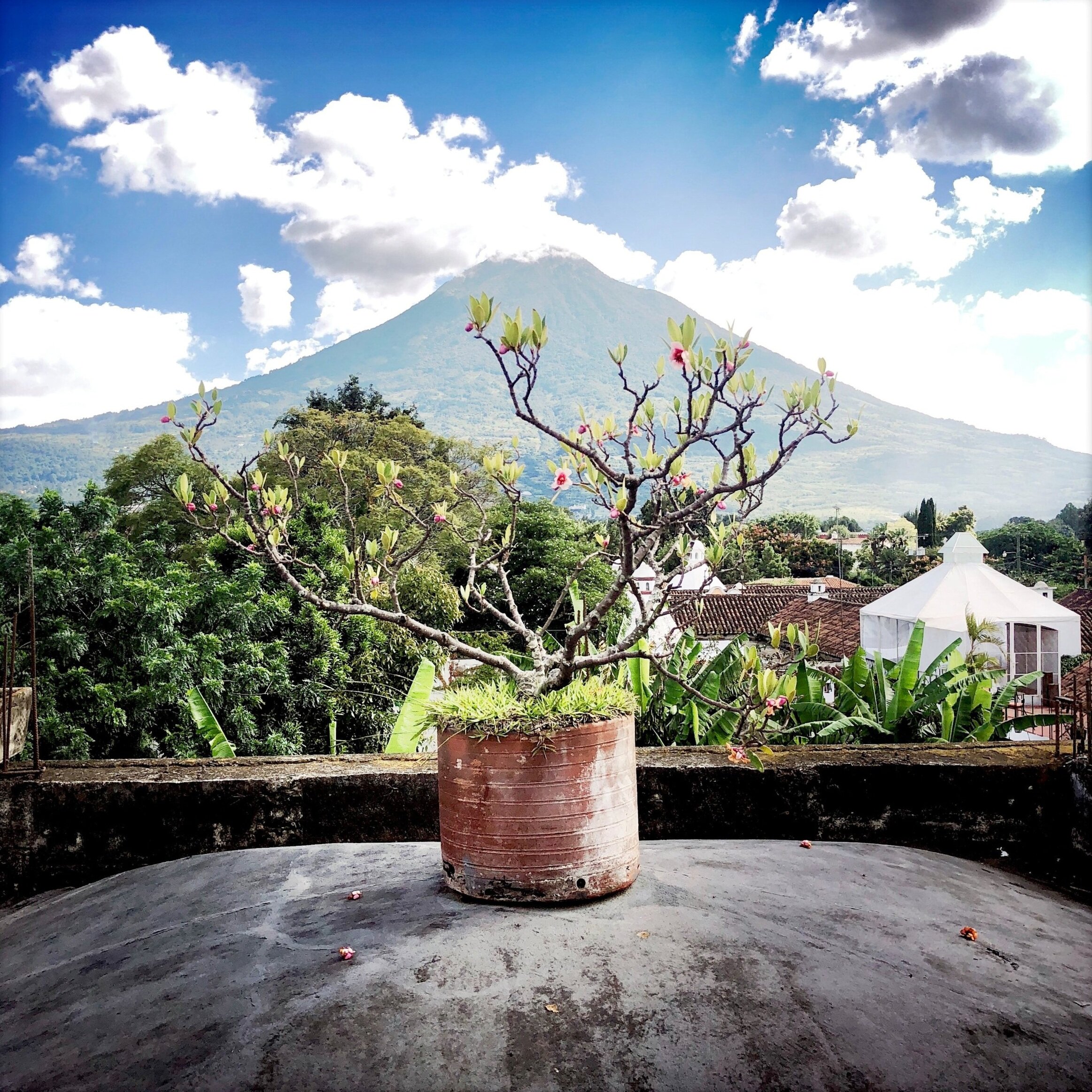 Open Air Places - Rooftop Terrace At Meson Panza Verde.JPG