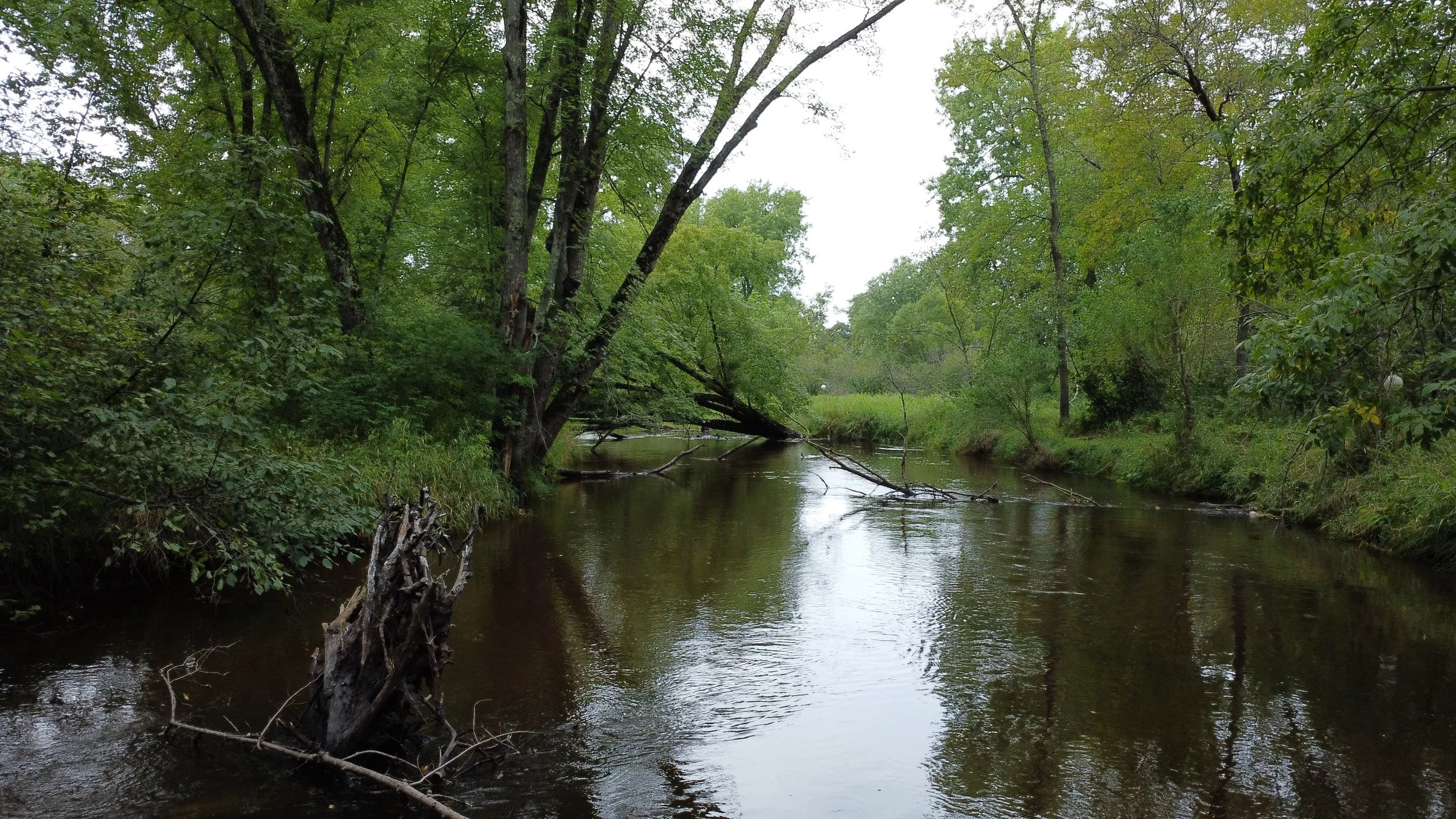 Trade River Retreat Cabin