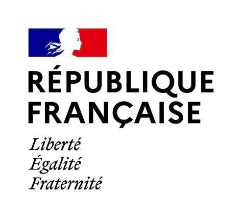French Embassy logo.jpg