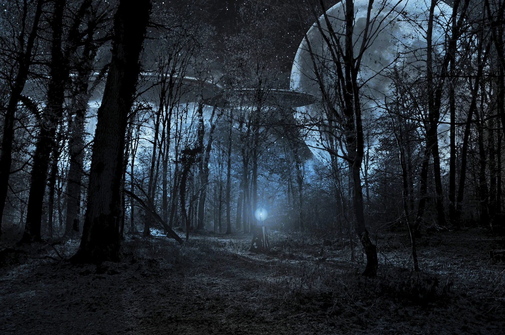 Flying saucers, disc-shaped craft, UFOs…hidden in a wilderness of terms, perhaps, but pretty hard to miss once you see your first ones.
