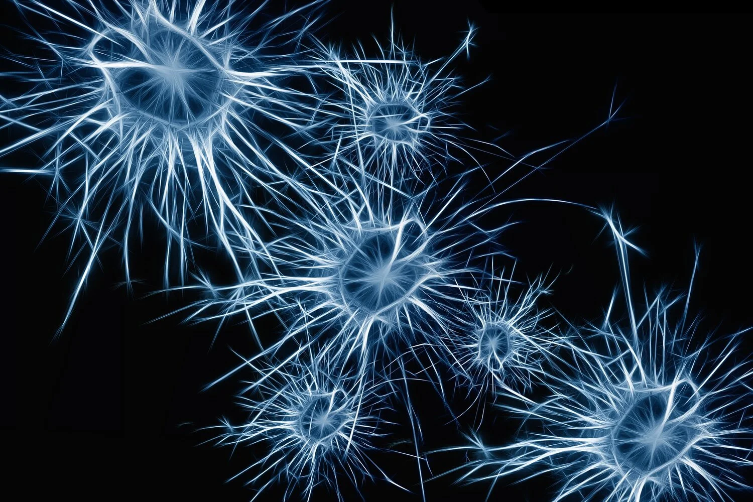 Neurons. Sort of. Image by Gerd Altmann from Pixabay