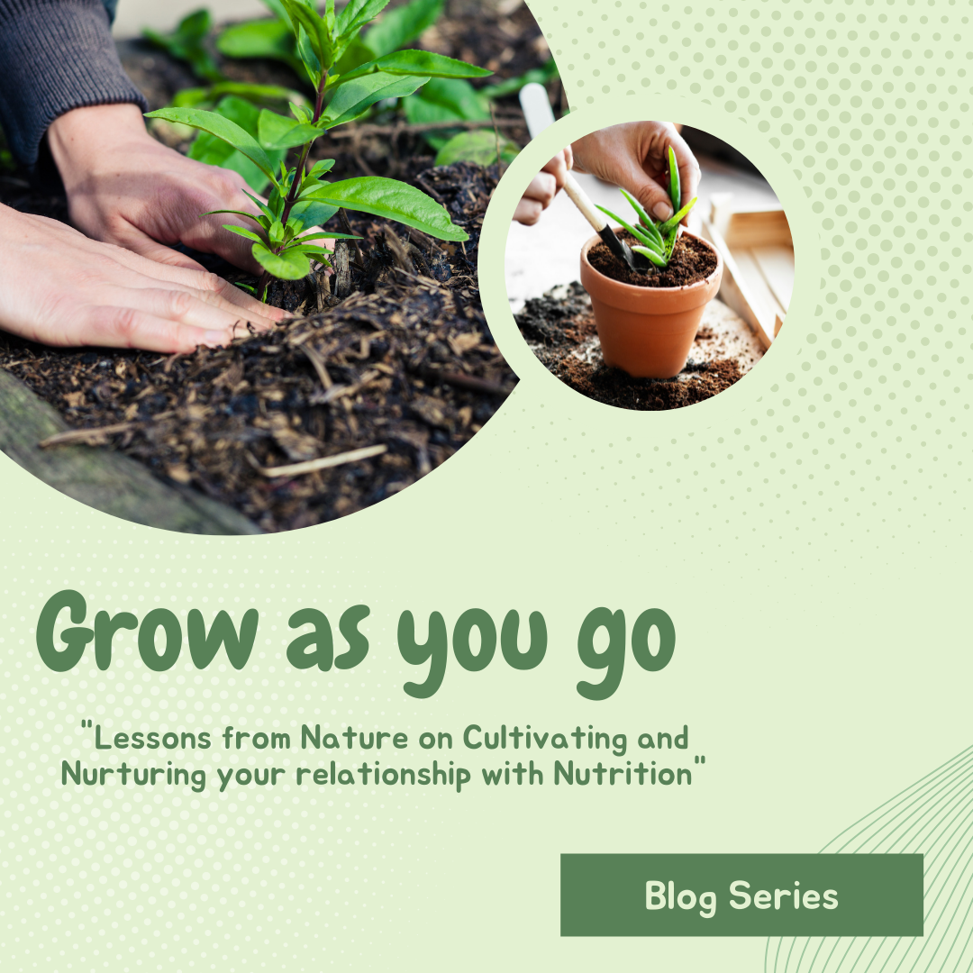 Introducing: Grow as You Go, an Interactive Blog Series from Side by Side