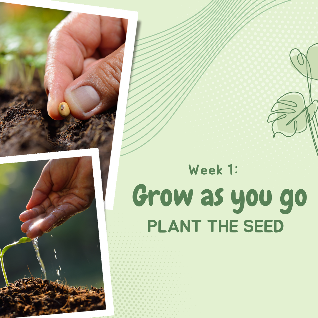 Grow as You Go Week 1: Plant the Seed