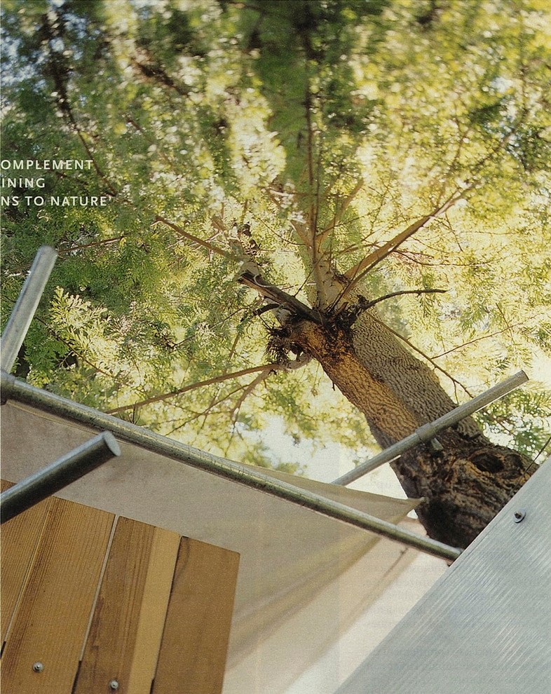 treehouse-modern-kids4.jpg