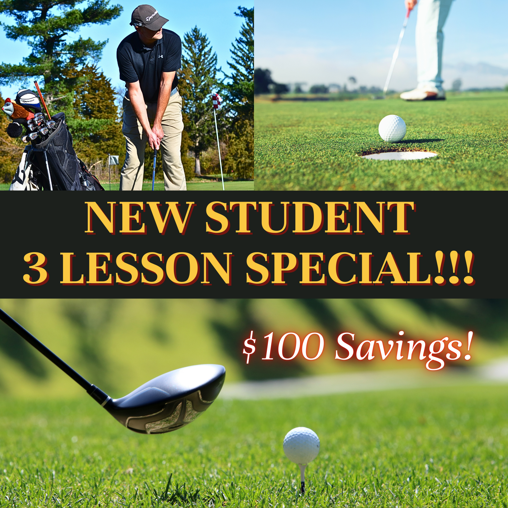 Virtual Golf Lessons (13).png
