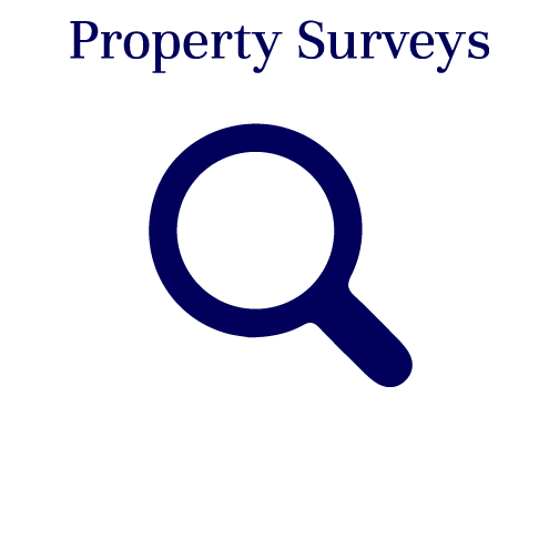 Property-Surveys-Button.png