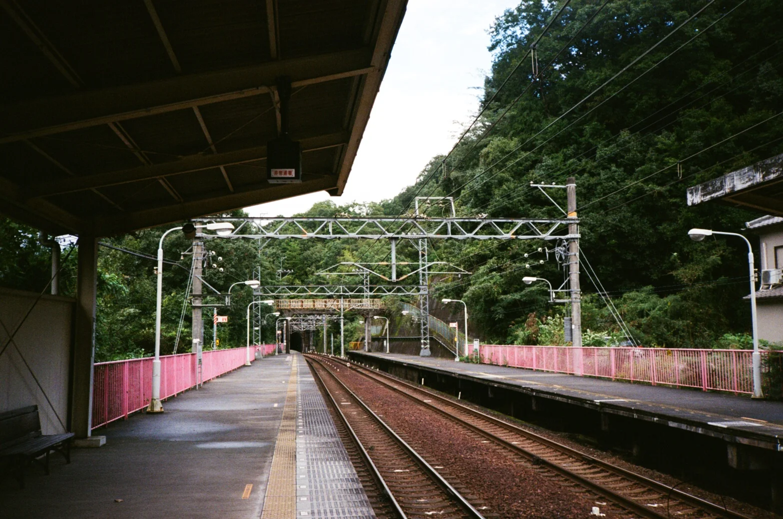 000018080020.jpg