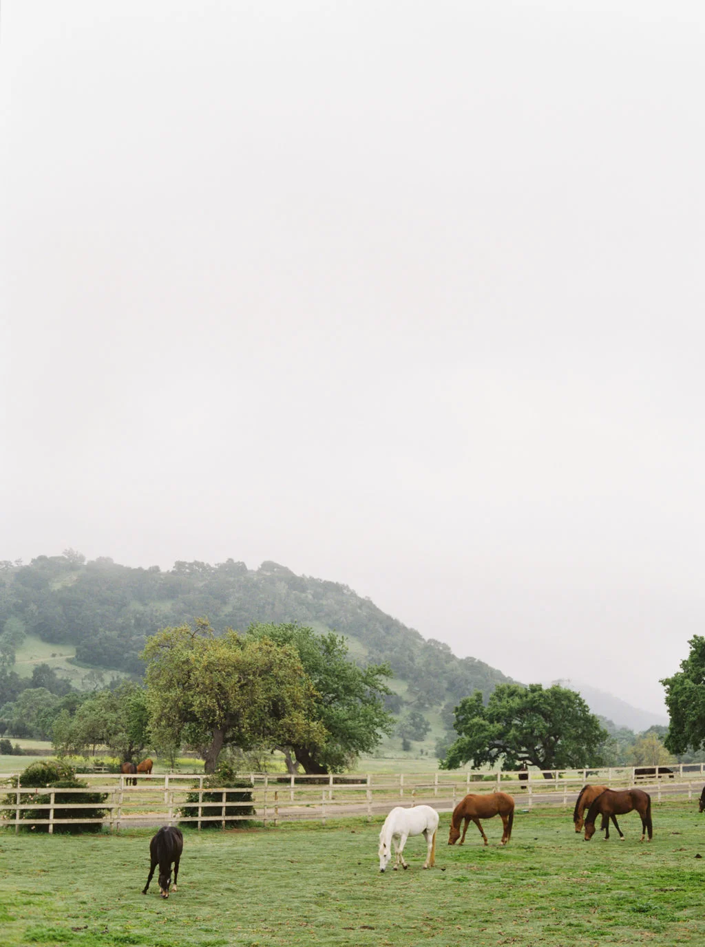 00015-Anna+KyleWedding.jpg