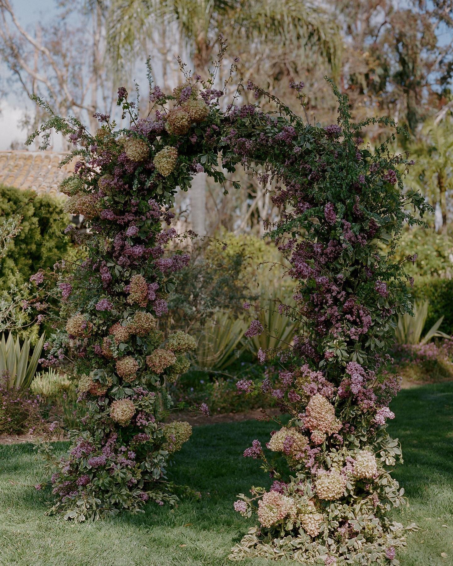 A perfect spring mix of lilac, 
peegee hydrangea, spirea, and 
pitosporum 🌸