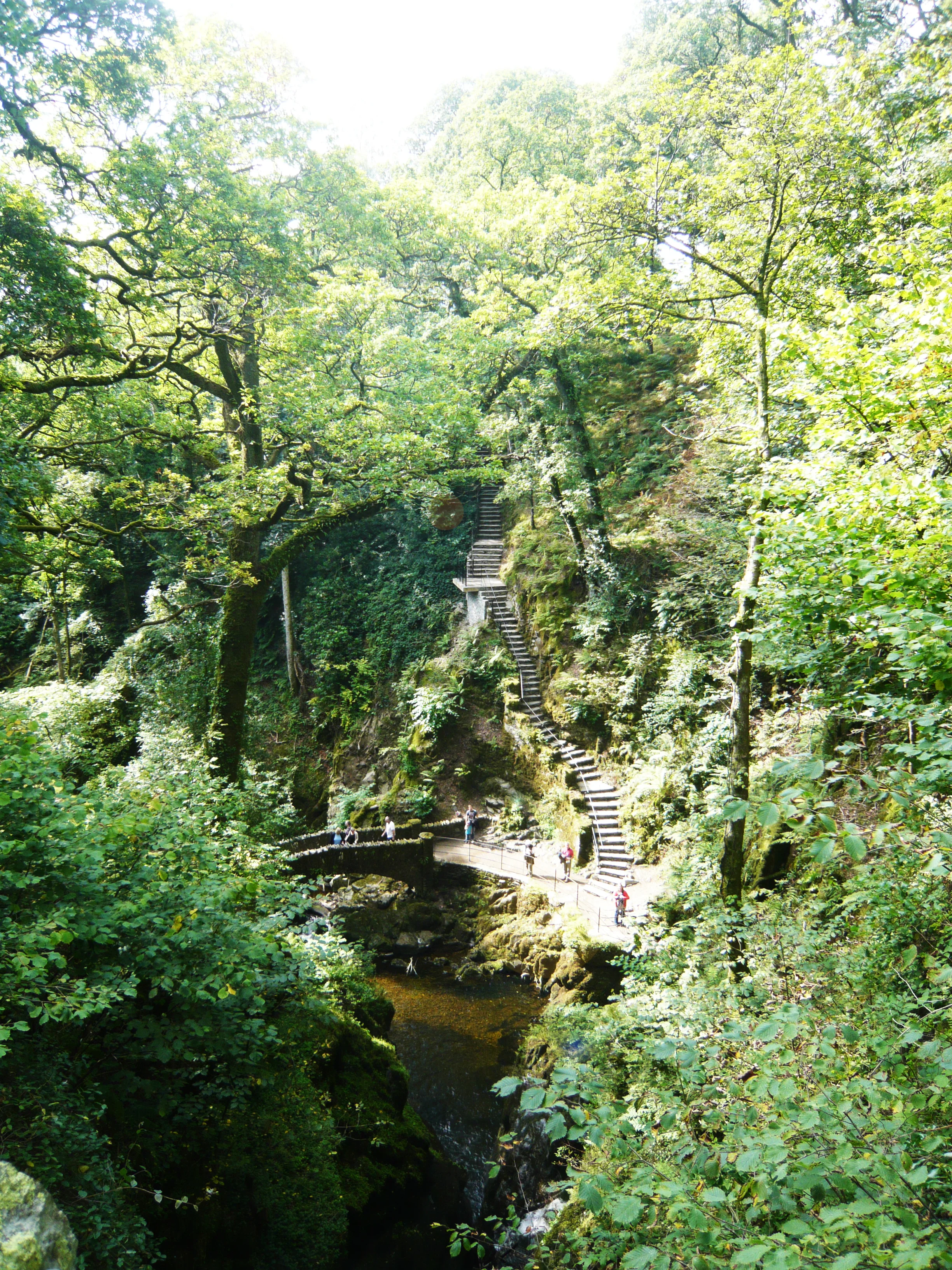 P1100910a.jpg