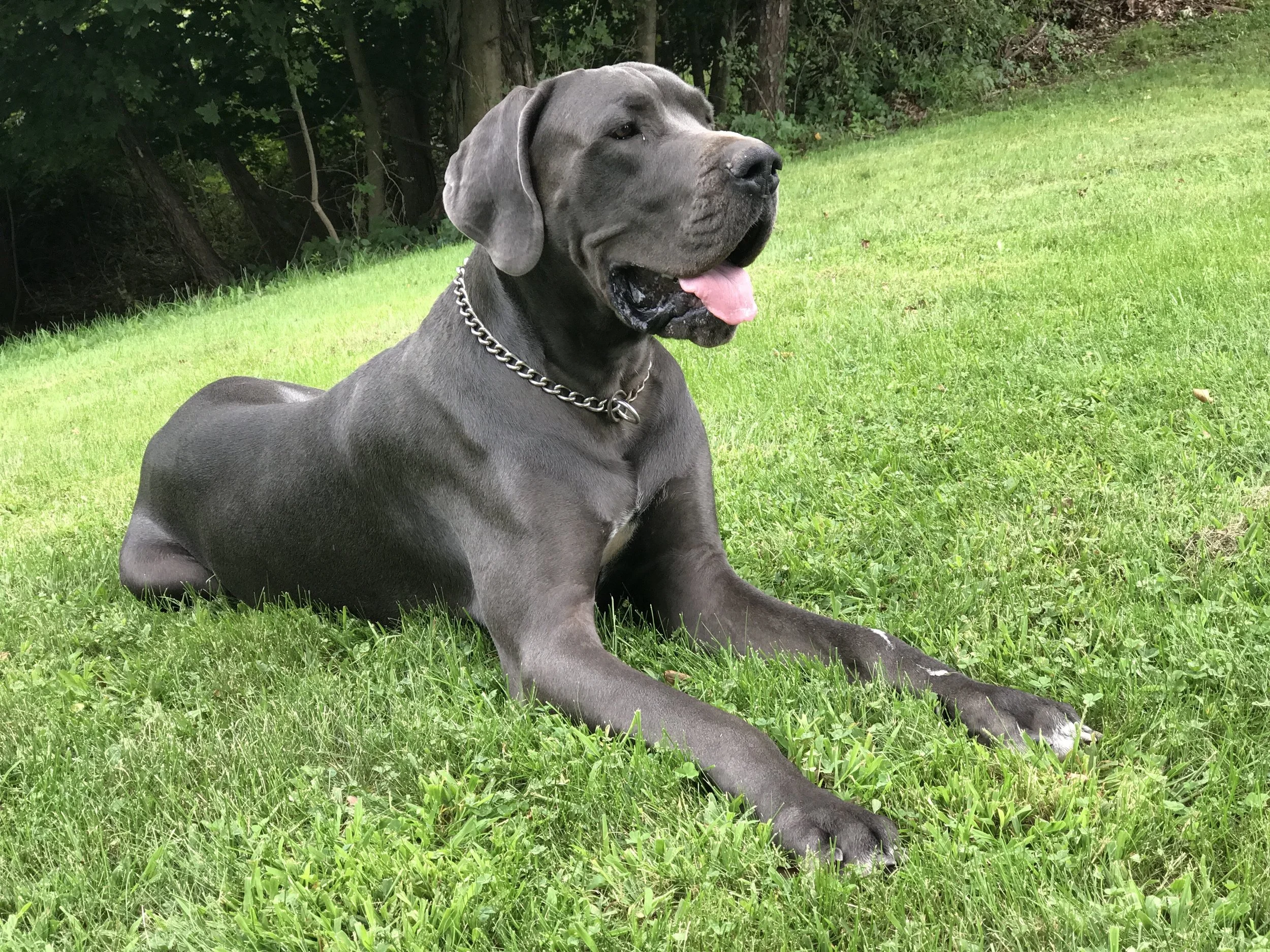 warrens dog and hunting supplies