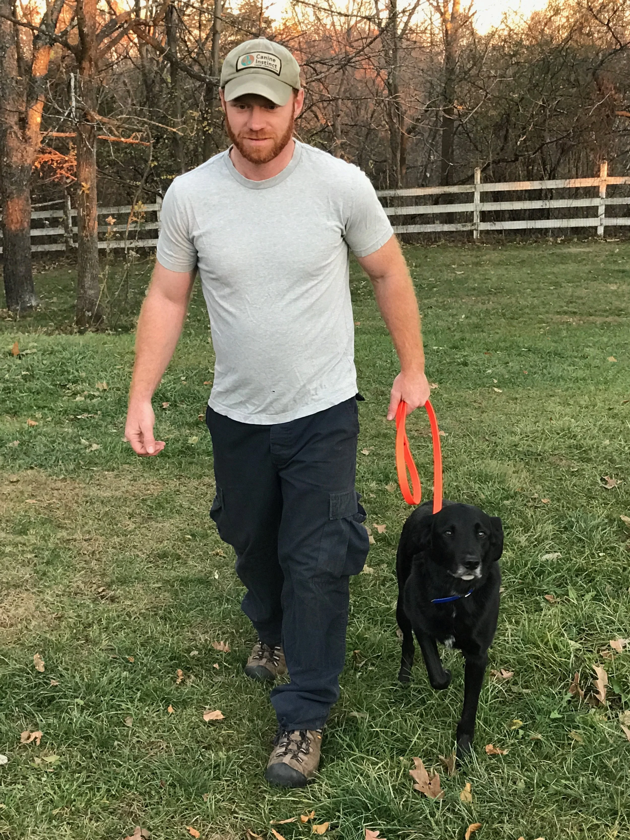 warrens dog and hunting supplies