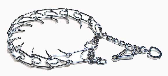 spike collar dog training