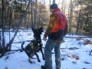 kyle_warren_dogs_search_and_rescue_K9_training2_preview.jpeg