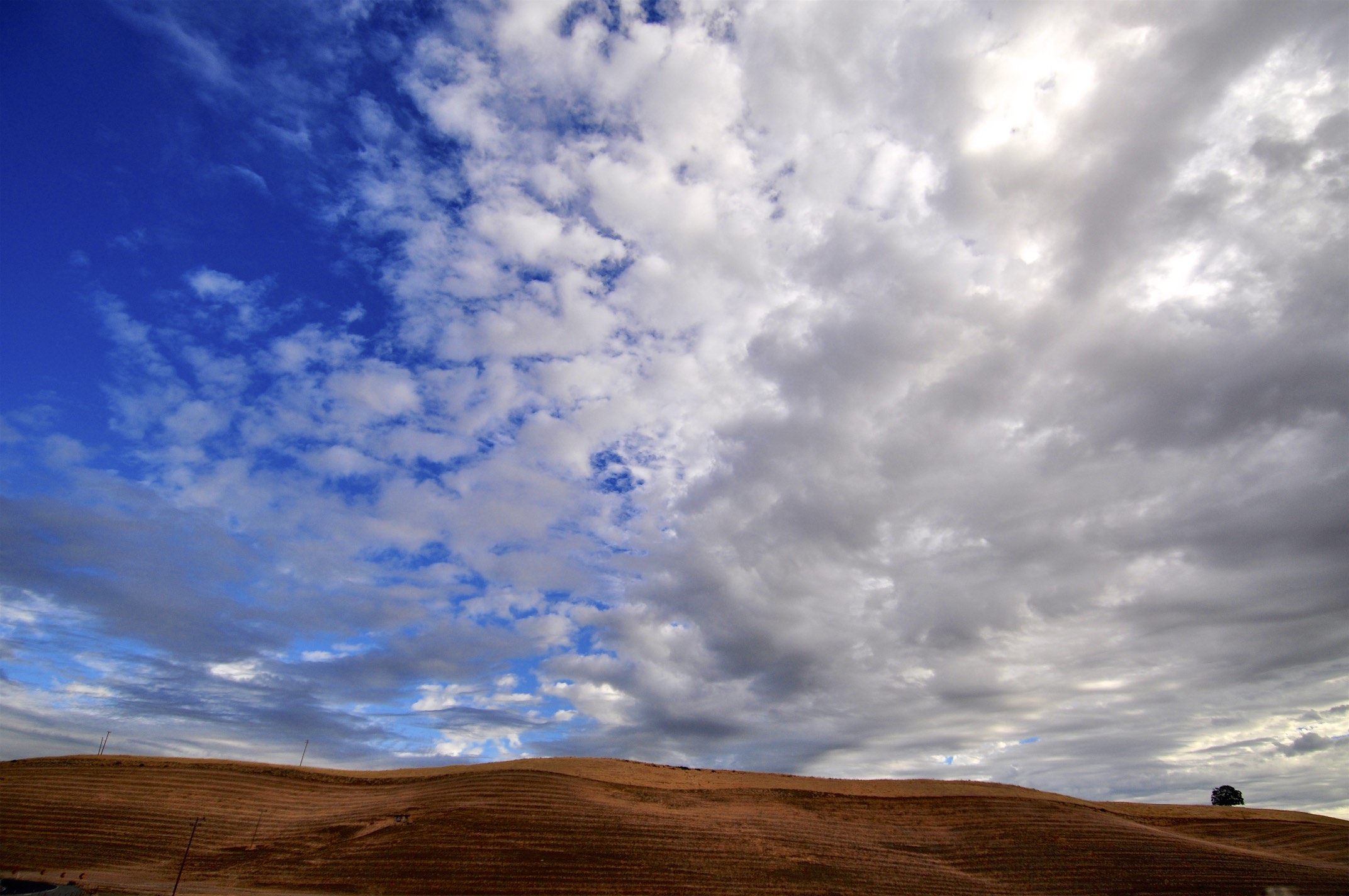 DSC_0042.jpg