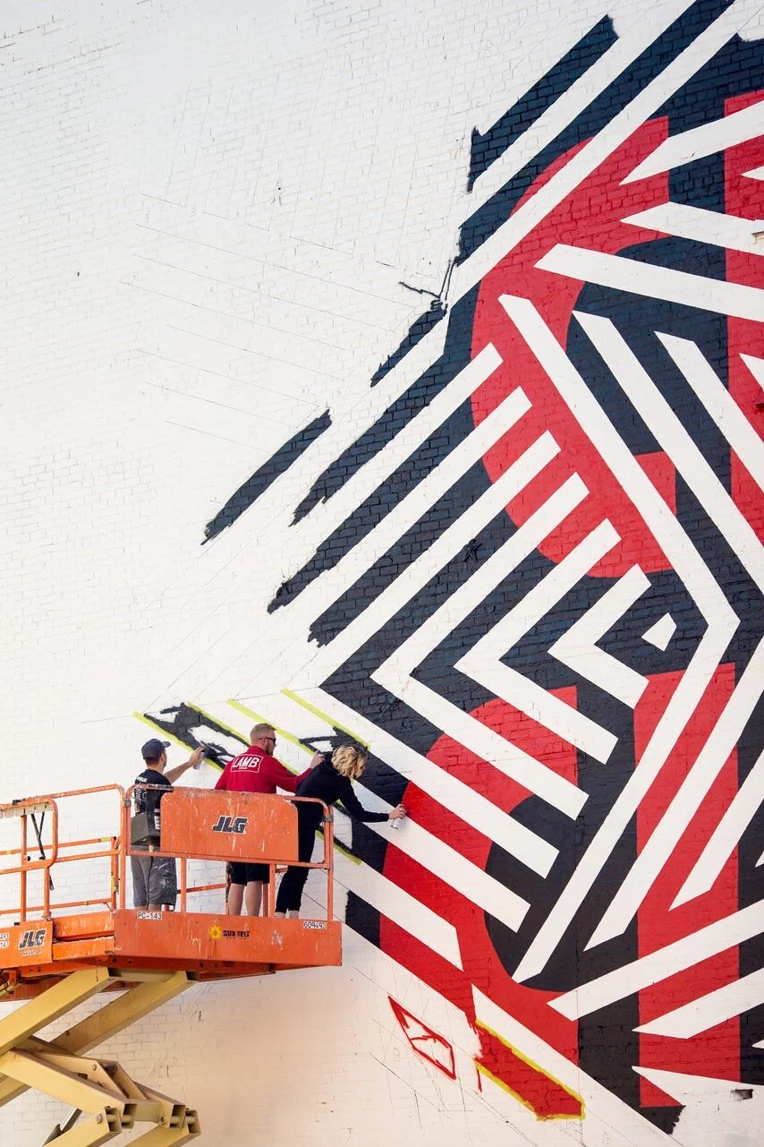 Blink Equirer Article.jpeg