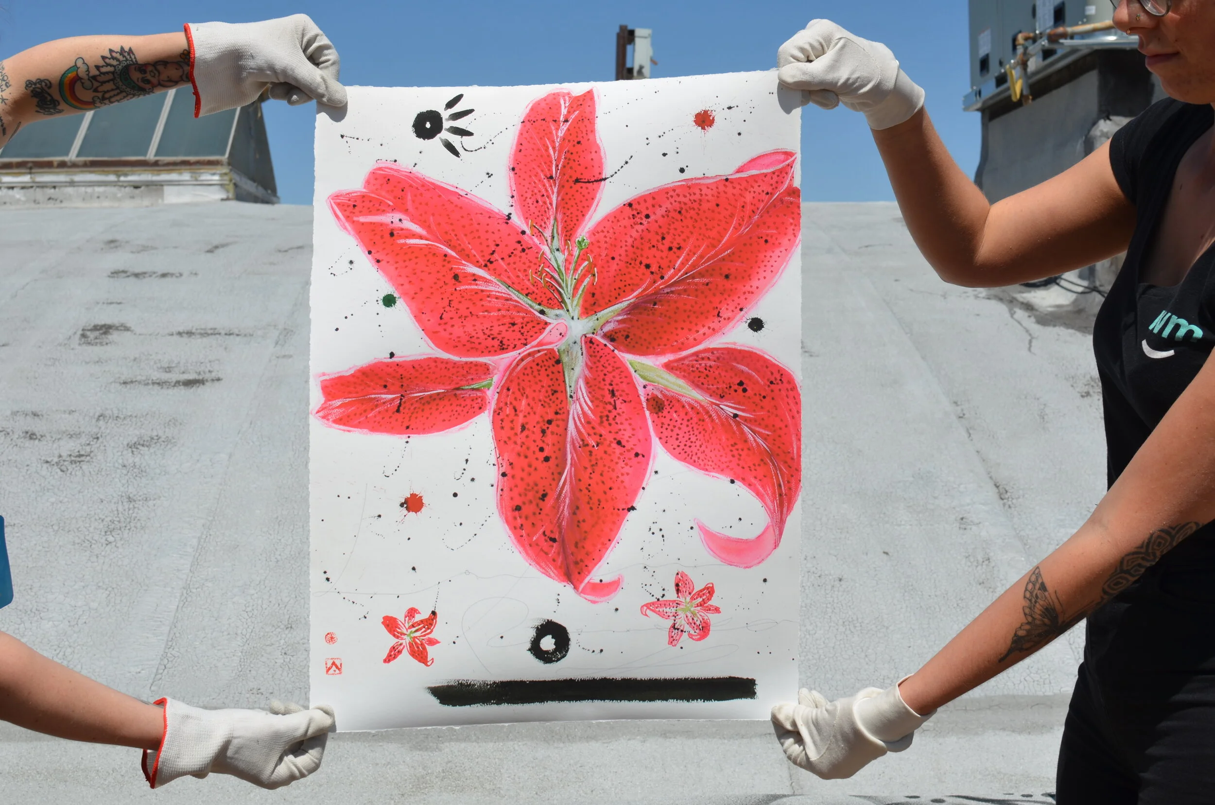 Lily 1 by Andrew Katz 1.JPG