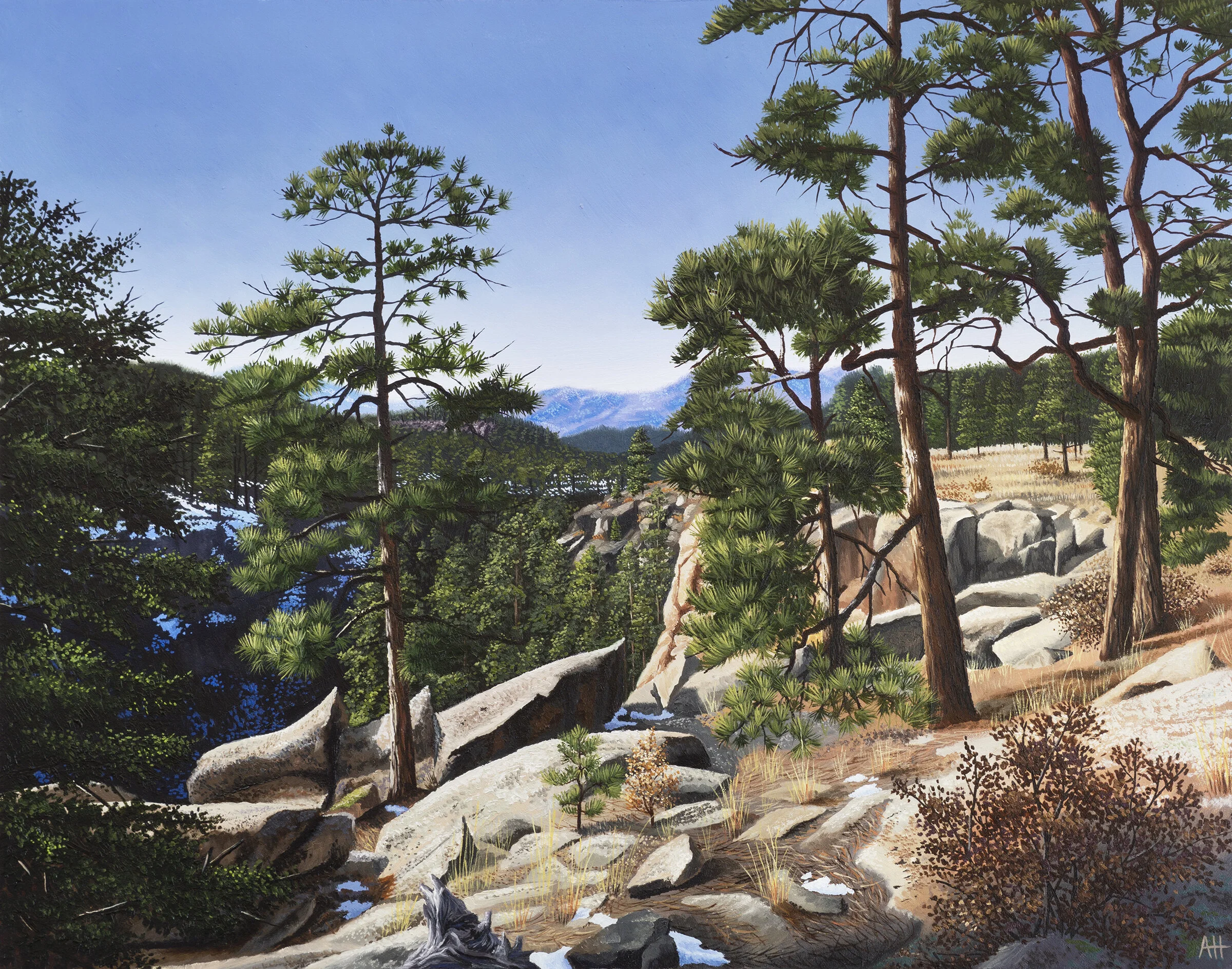 Enchantment Austin Howlett.jpg