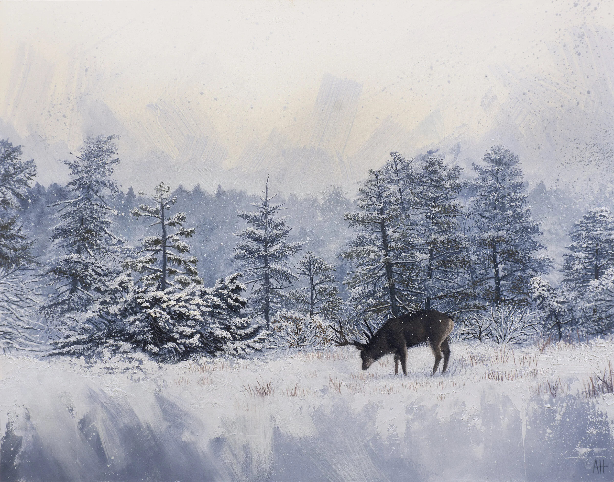 Silent Snow small.jpg