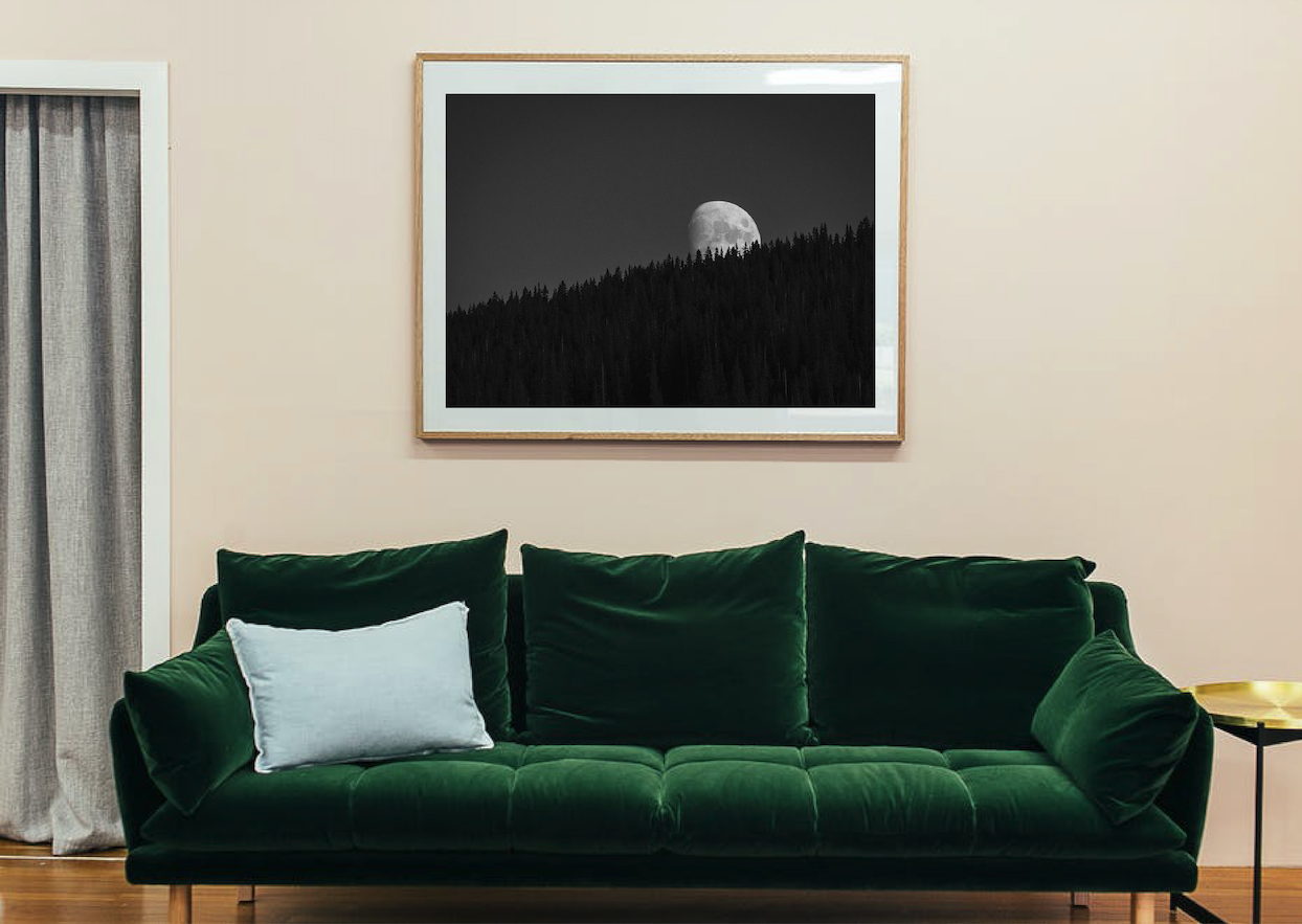 Screen Shot 2021-11-24 at 3.02.56 PM.png