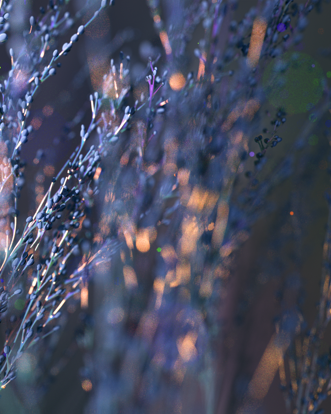 Pussy_Willow_still_B.png