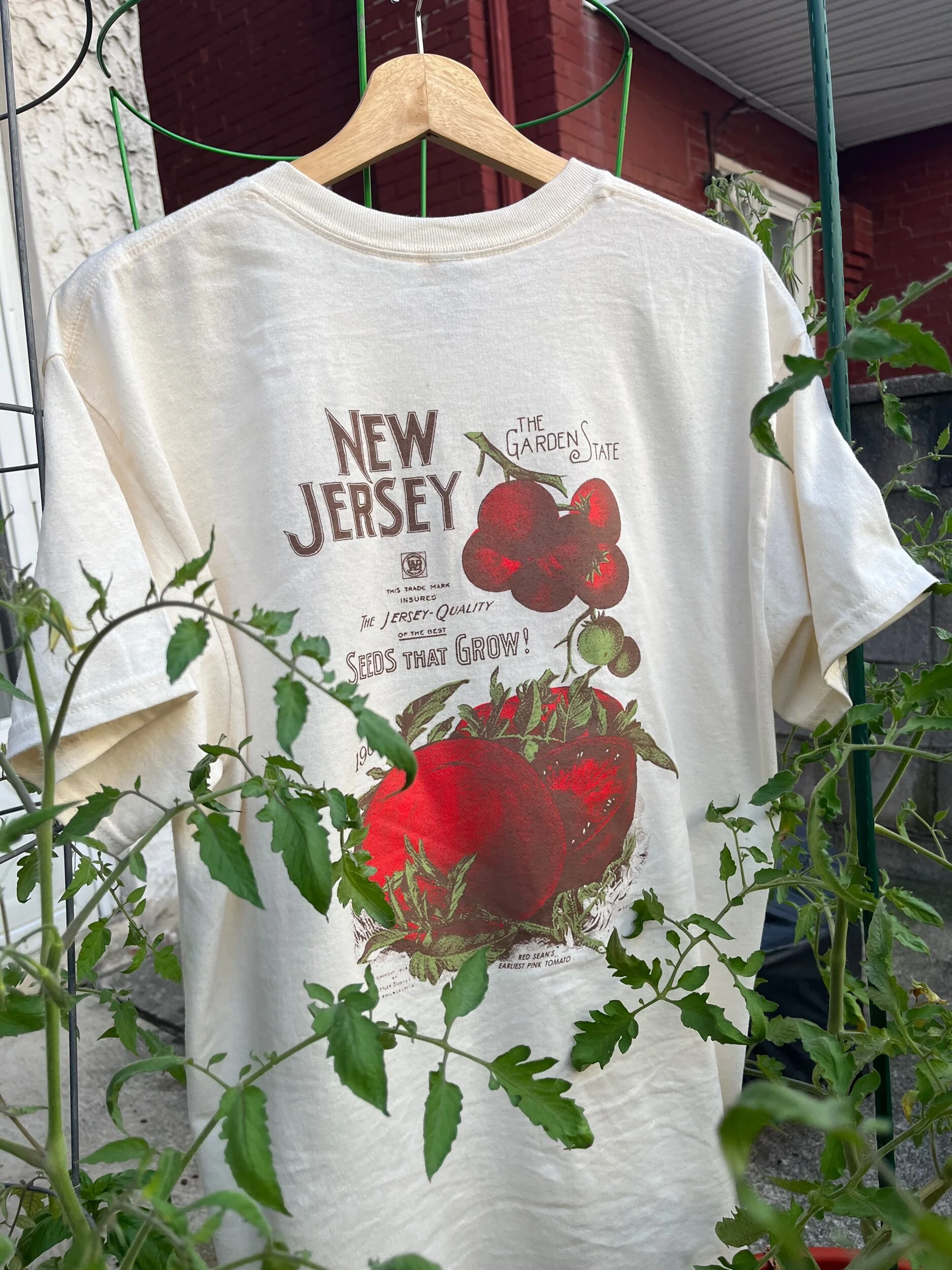 31FB86C3-167B-4807-8C1F-A6C99310153C