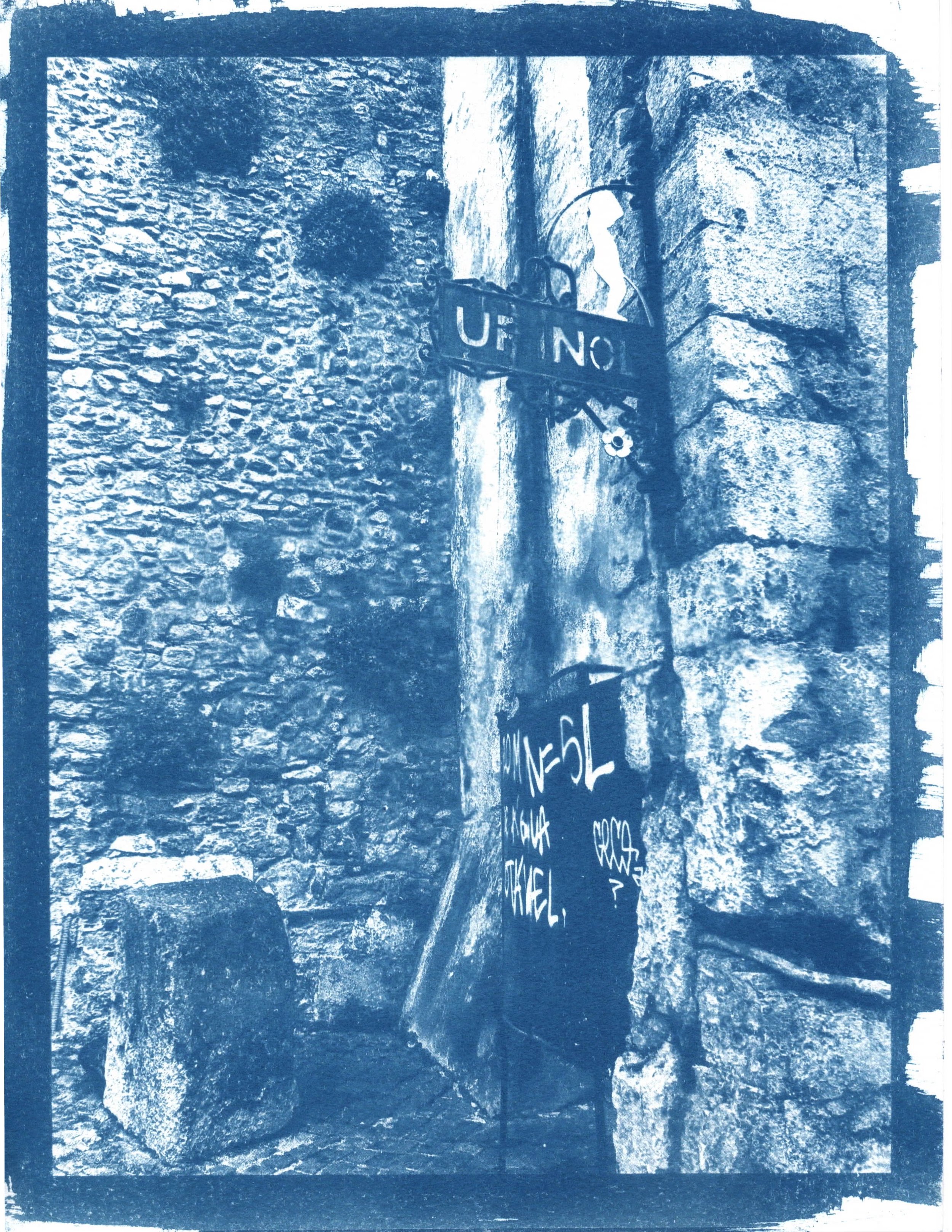 cyanotype11.jpeg