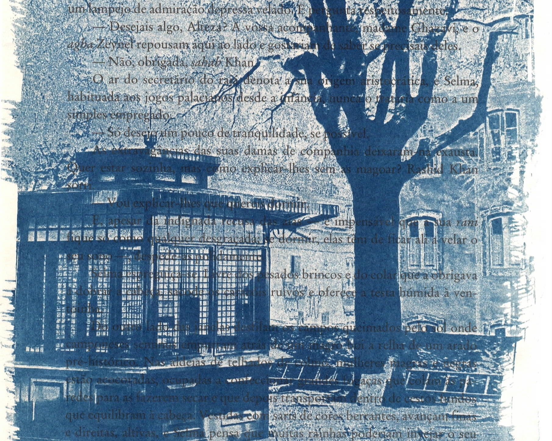 cyanotype02.jpg