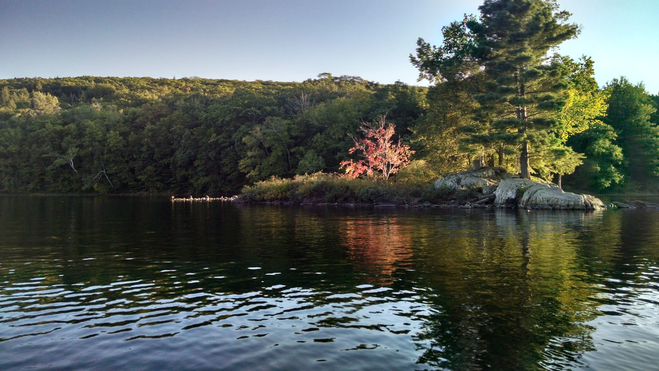 IMG_20160913_181555537_HDR.jpg