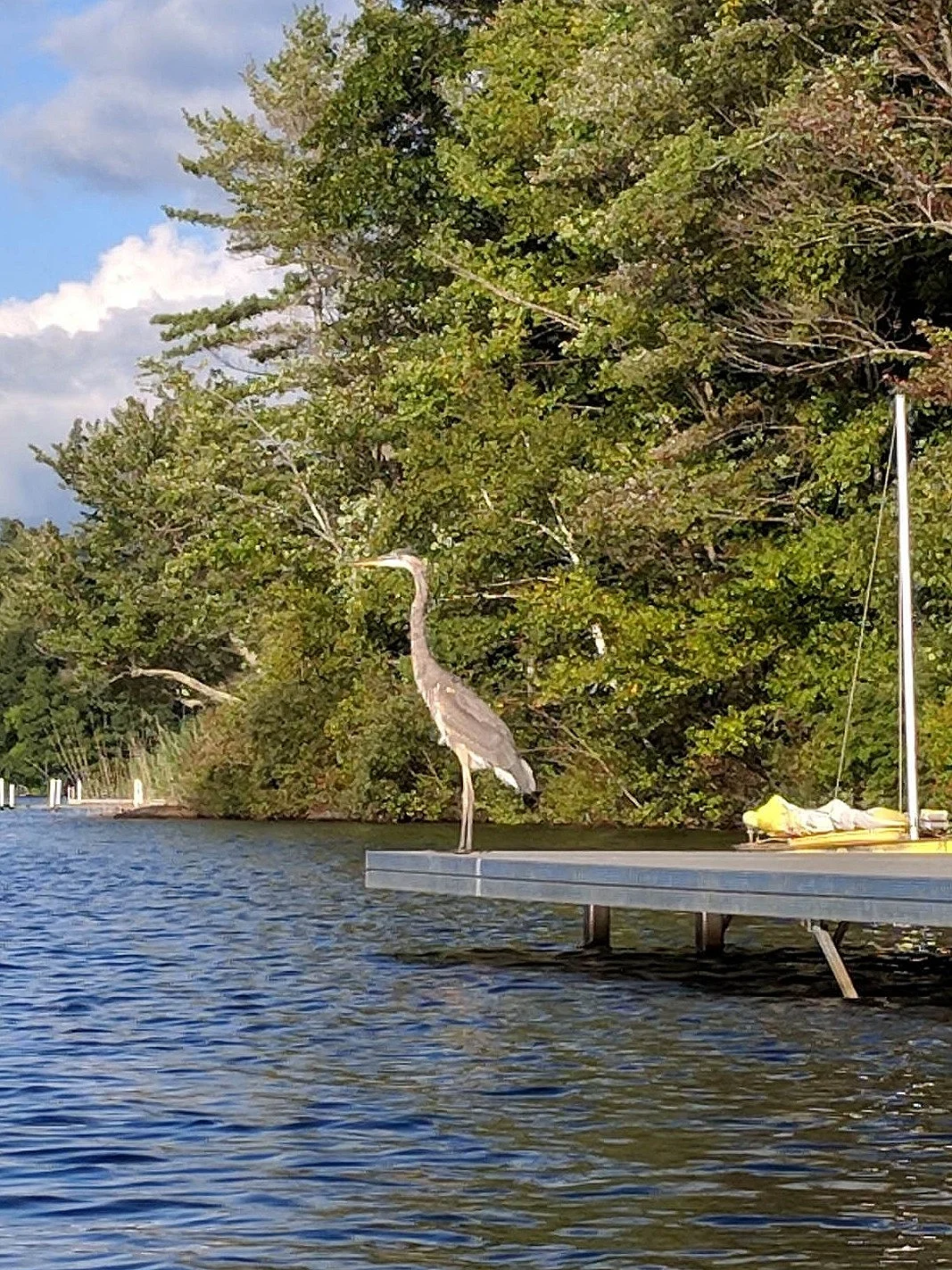 Visit Goose Pond — Goose Pond Maintenance District
