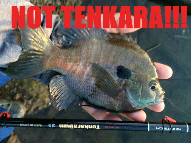 nottenkara.jpg