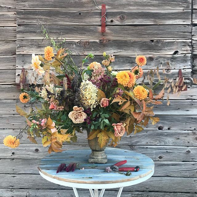 I have been M.I.A. for awhile.  Life has been a lot to manage these past several months, but I&rsquo;m seeing the light at the end of the tunnel...kind of.
We&rsquo;re still doing daily wound care for my husband, but most of his burns are closed up, 