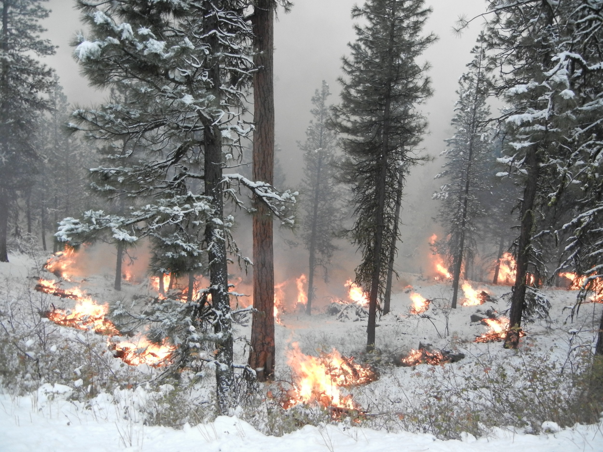 Handpile Burning