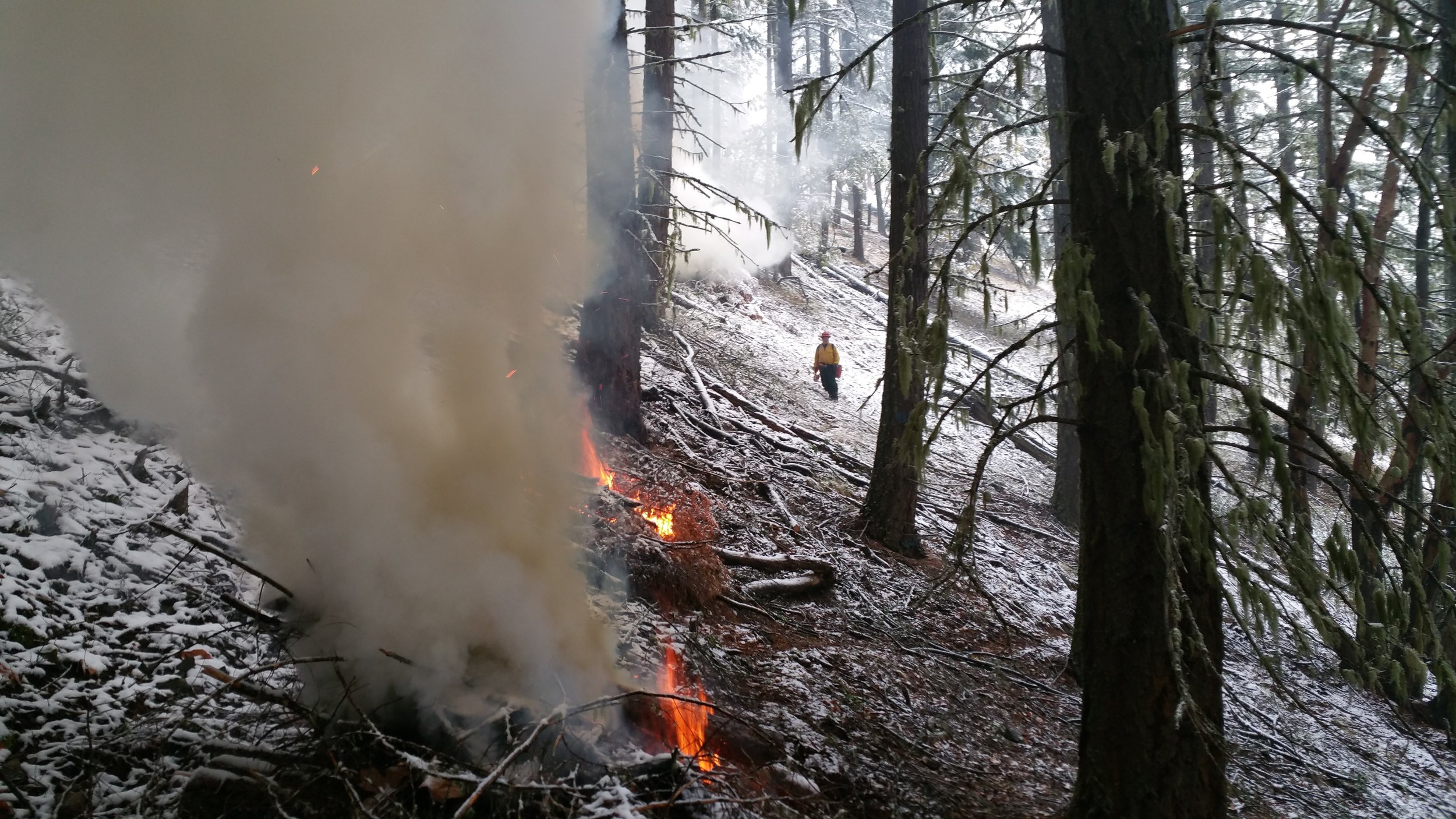 Handpile Burning
