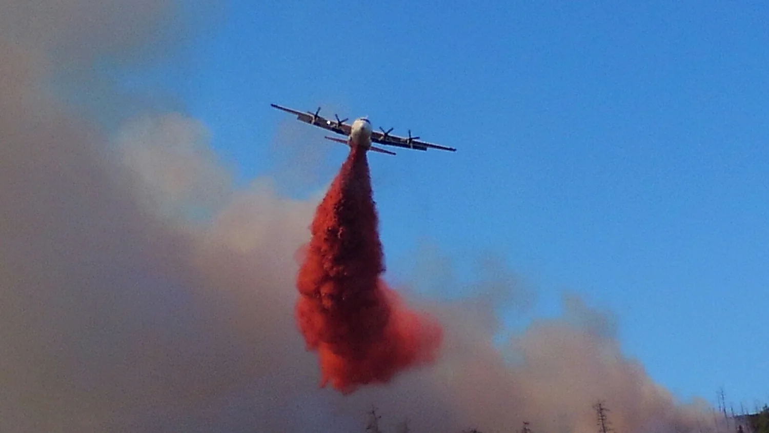 Wildfire Suppression — Grayback Forestry