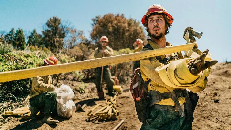 AIFF launches new Best of the Fests