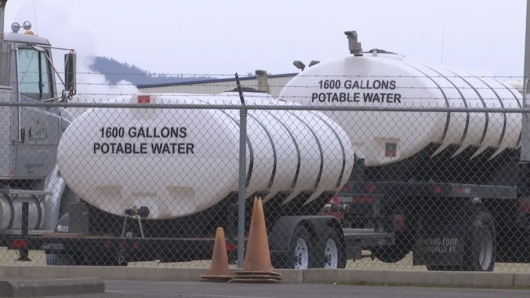 Federal Forest Contracts Stall Halting Business for Restoration Projects