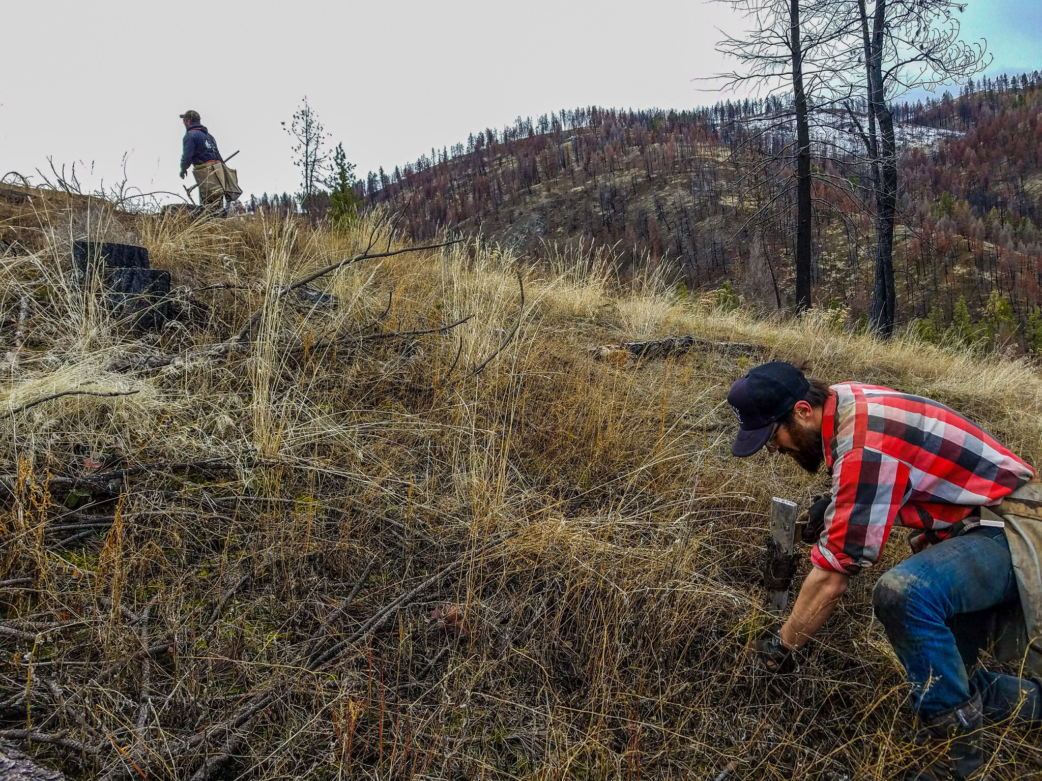 Malheur Tree Planting (12).jpg