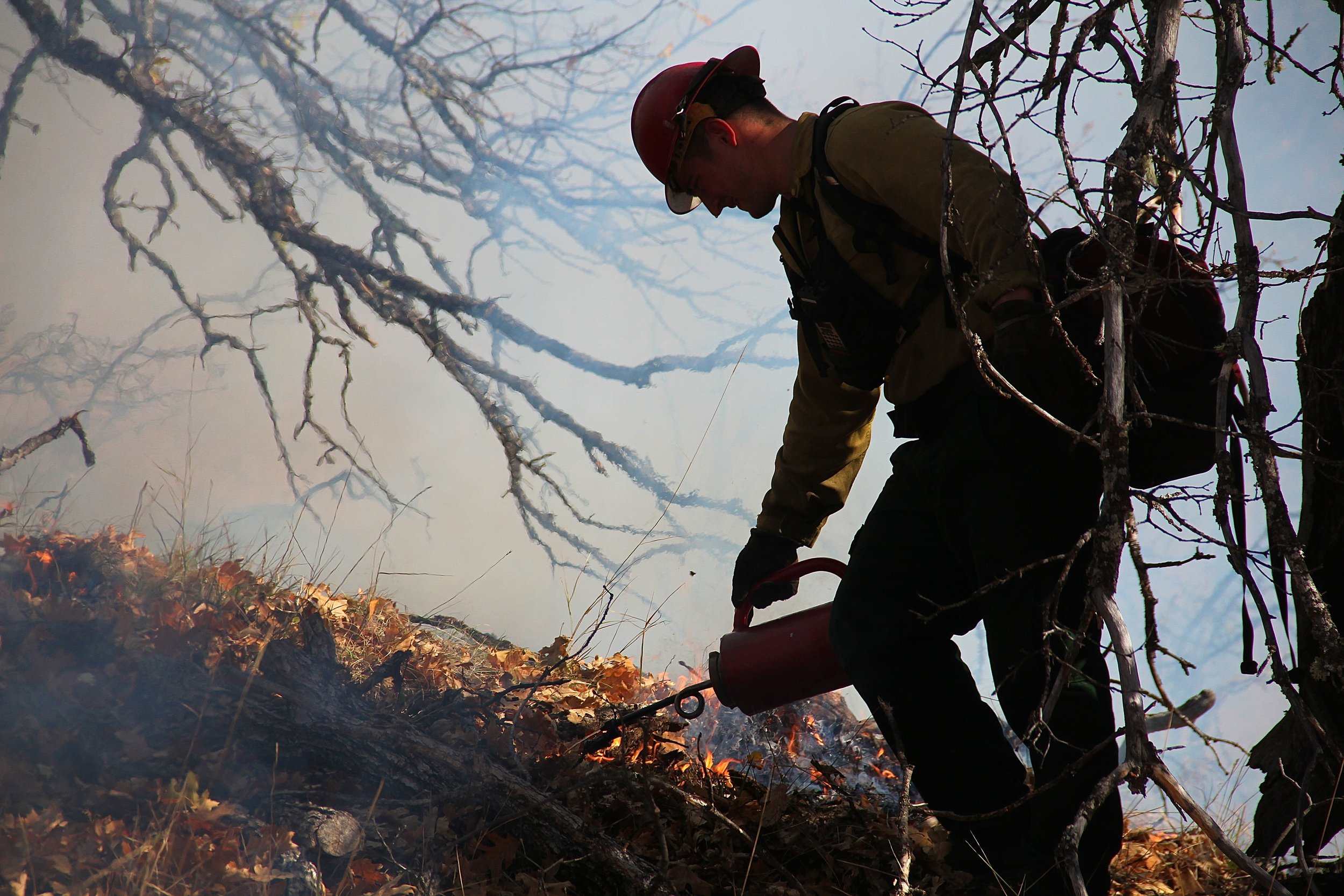 Temple Burn 2013 - Merlin3.JPG