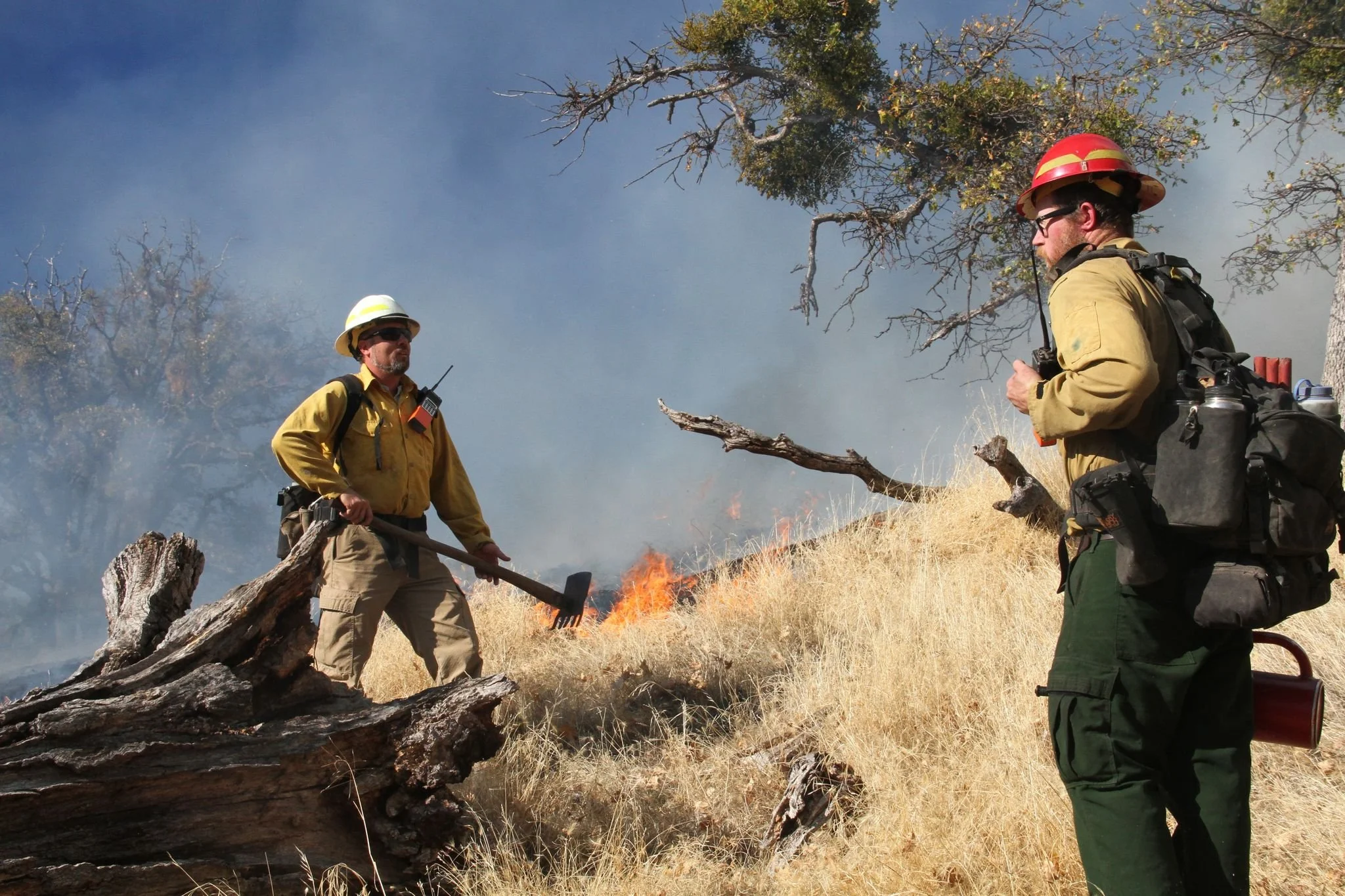 The Oregon Fire Lines